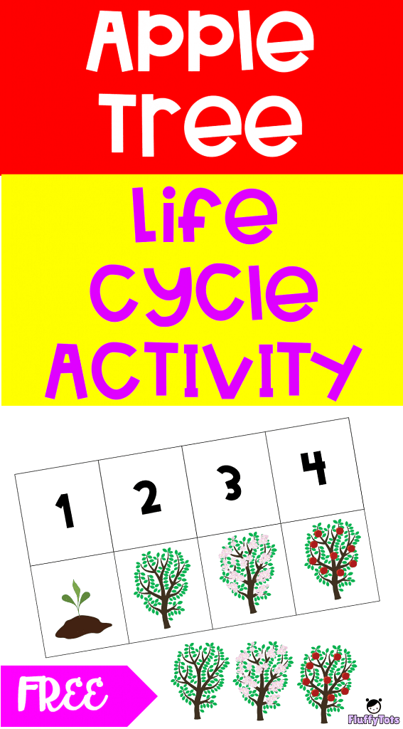Apple Tree Life Cycle Activity : FREE 2 Sequencing Printable 1