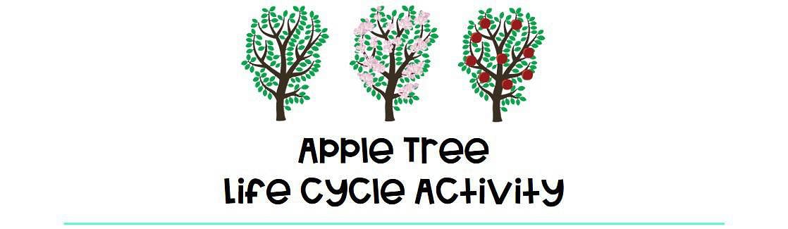 Apple Tree Lifecycle Activity
