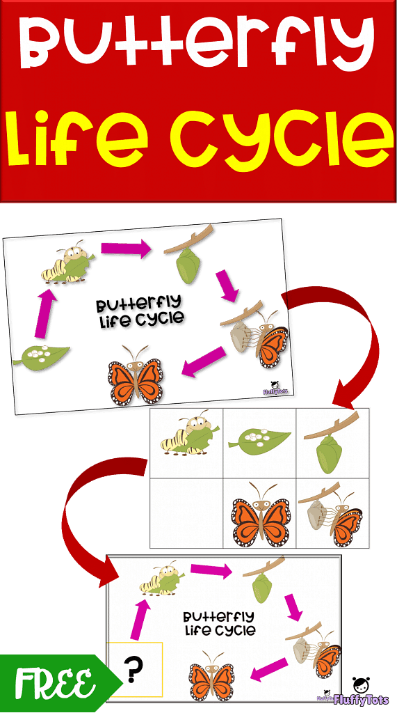 butterfly life cycle for preschool freebie