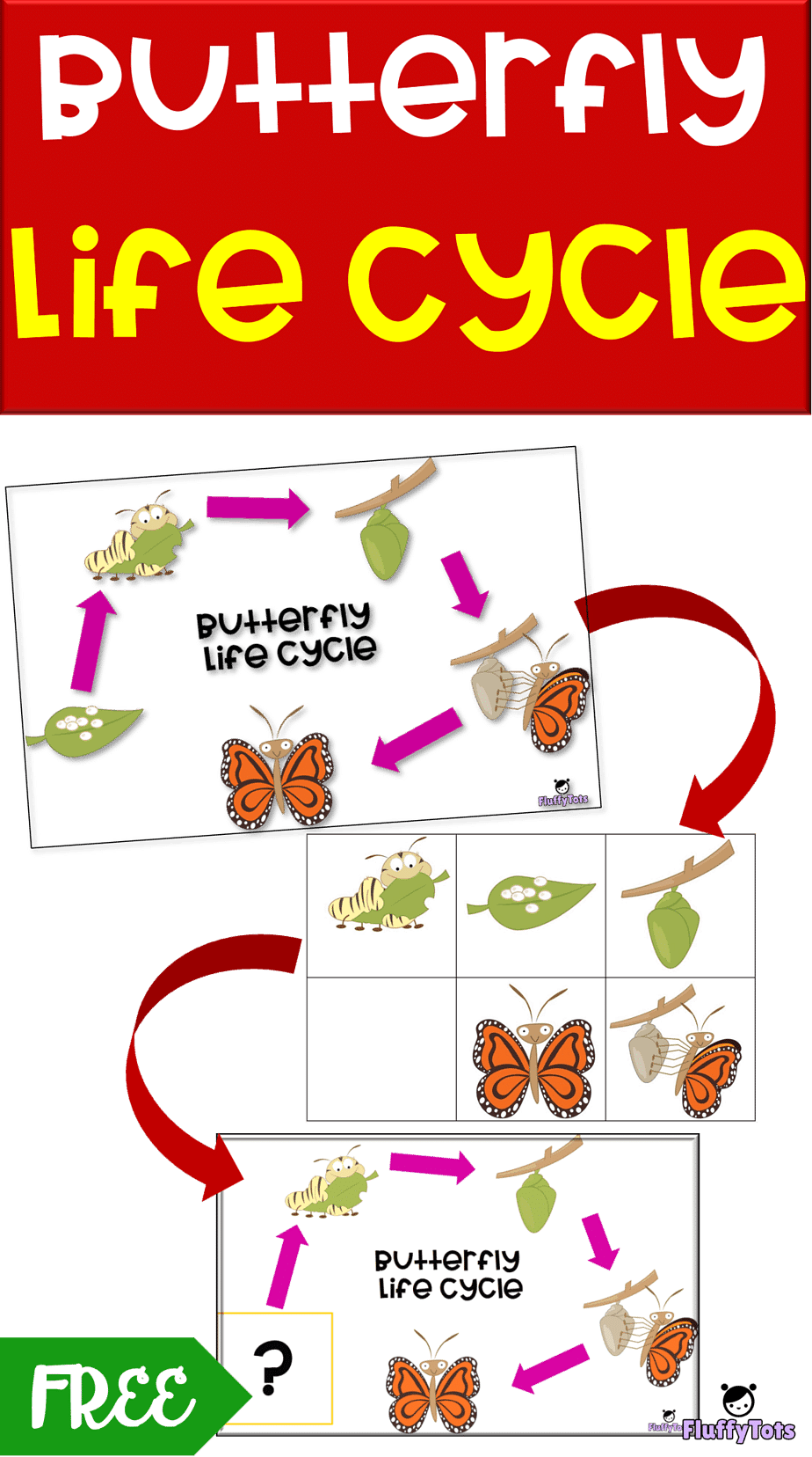 Butterfly Life Cycle Activity FREE 5 Sequence Activity FluffyTots