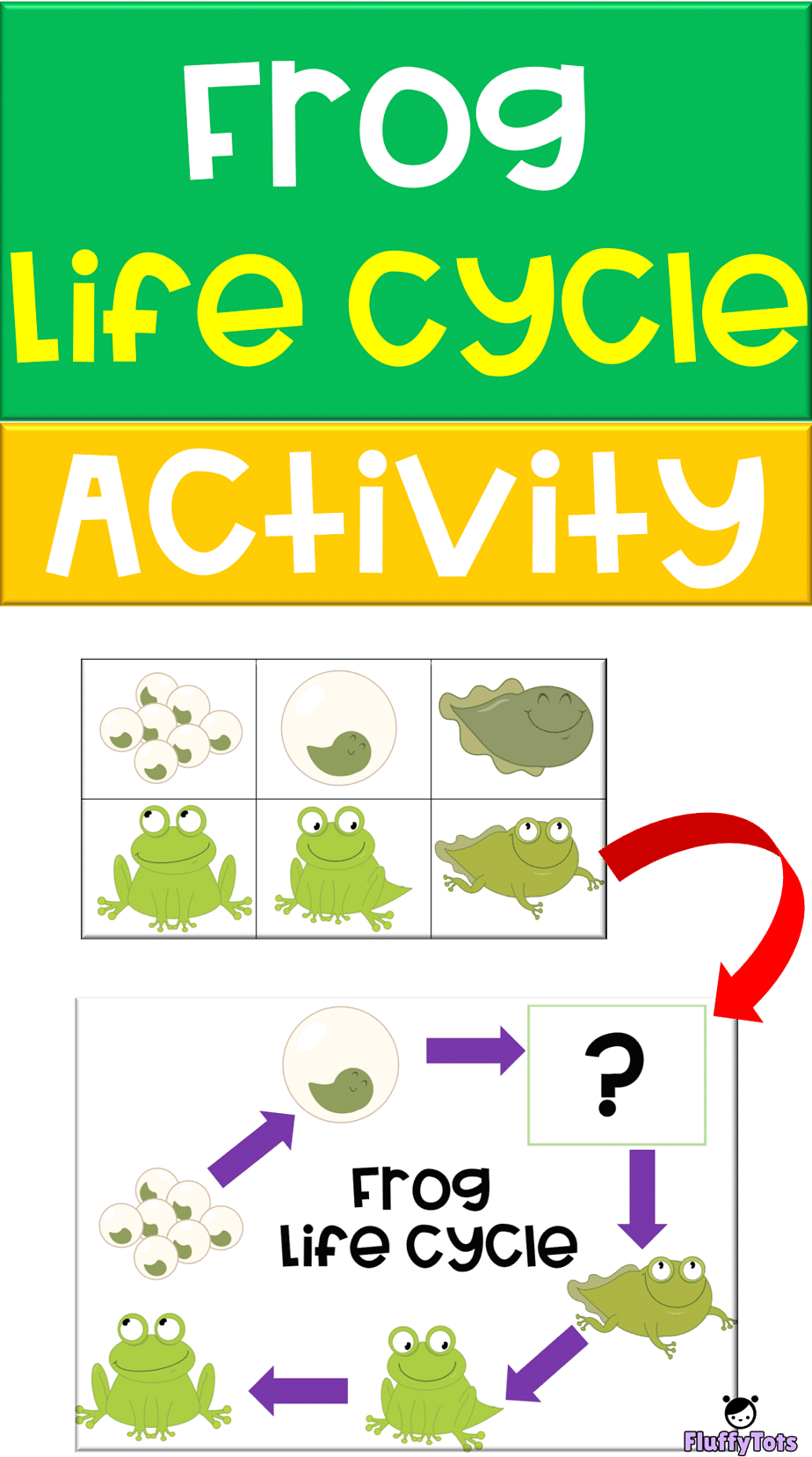 Frog Life Cycle Activity : FREE 6 Sequence Activity for Toddlers and ...