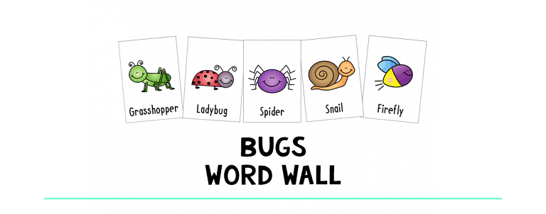 Bugs Word Wall : FREE 12 Bugs Vocabulary