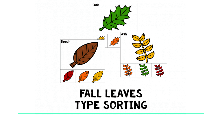 Fall Leaves Type Sorting Activity : FREE 3 Types of Leaves