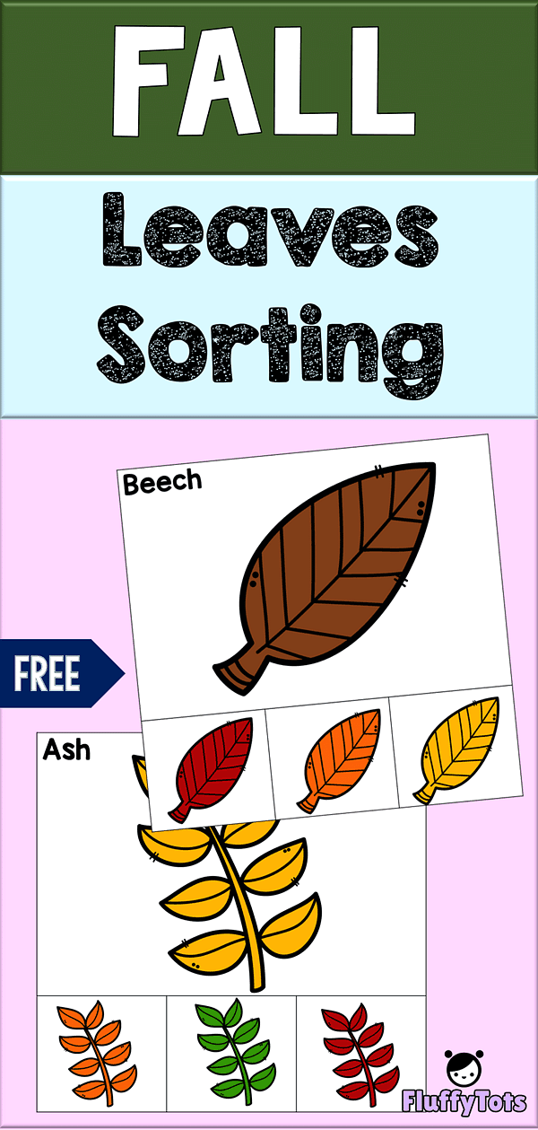 Fall Leaves Type Sorting