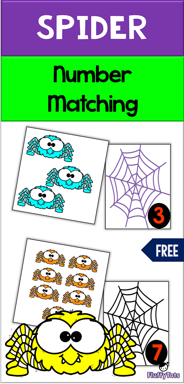 Spider Number Matching