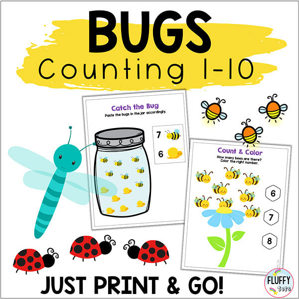 Bugs Math Activities