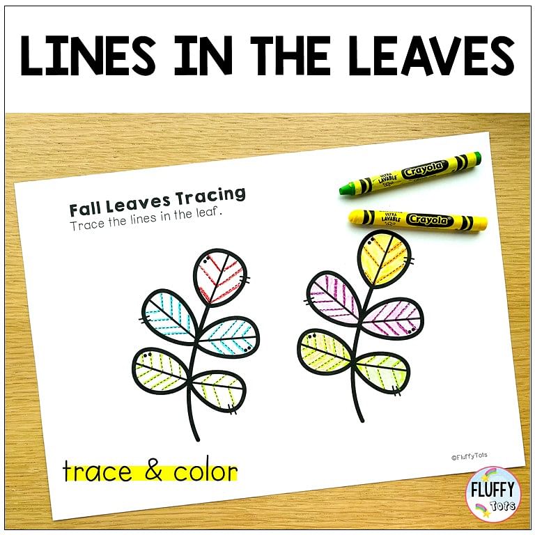50+ Pages Fun Leaves Printables to make tracing exciting for your kids 5