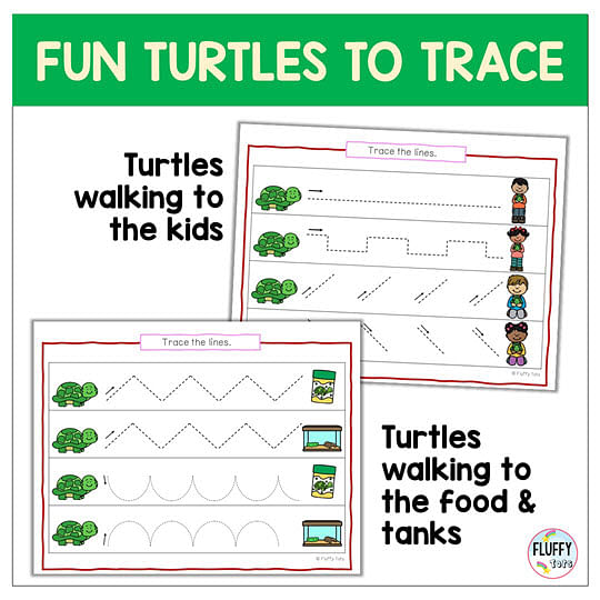 preschool turtle theme