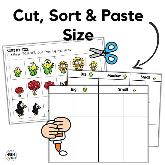 fall preschool sorting worksheets