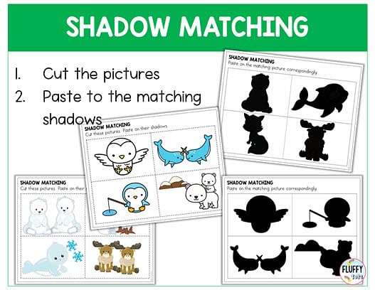 Arctic Animals Shadow Matching Worksheet for Kids