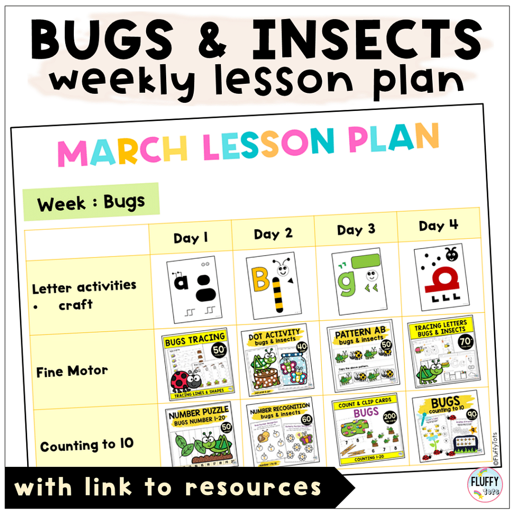 Discover Simple Bugs Lesson Plan for Toddler and Preschool with 3 Main Activities 3