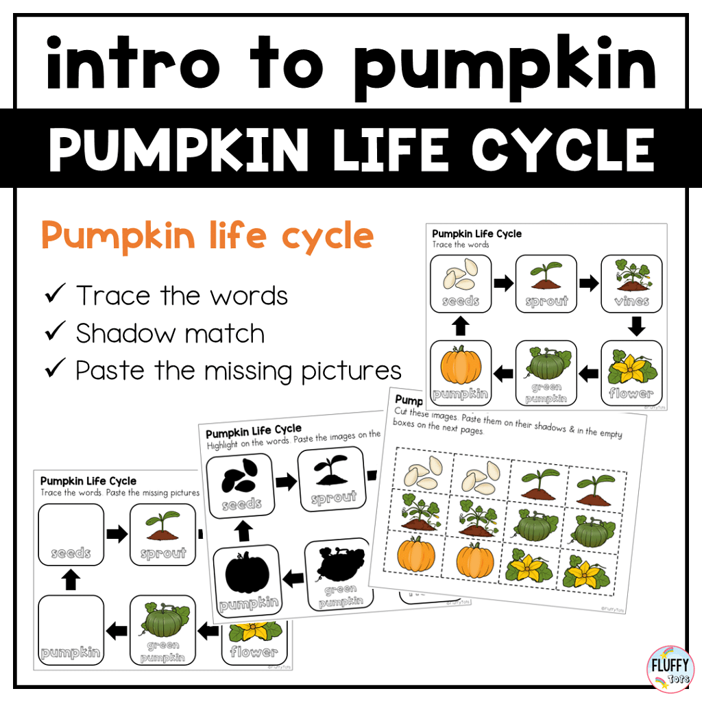 100+ Fun Pages of Ready to Use Pumpkin Printables for Preschool 3