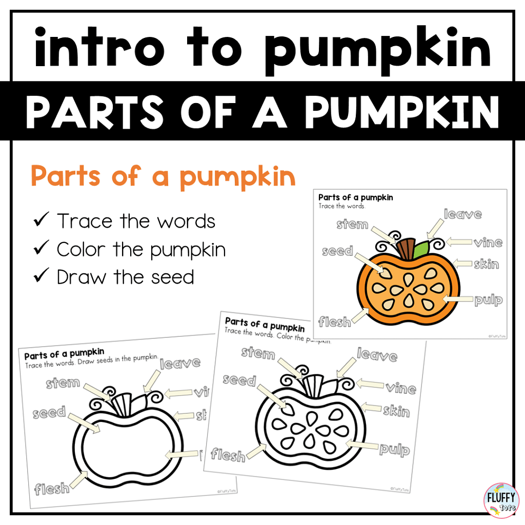 100+ Fun Pages of Ready to Use Pumpkin Printables for Preschool 4